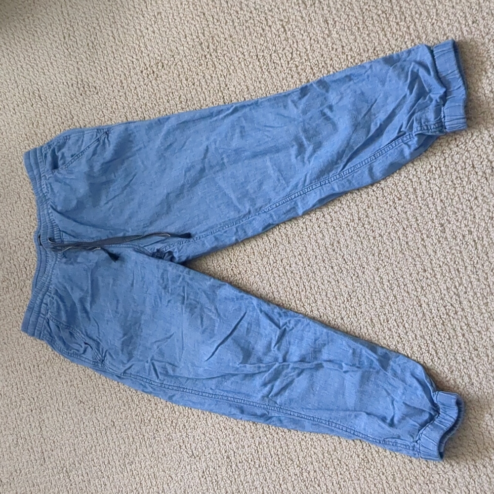 Worn J.Crew Point Sur jogger pant